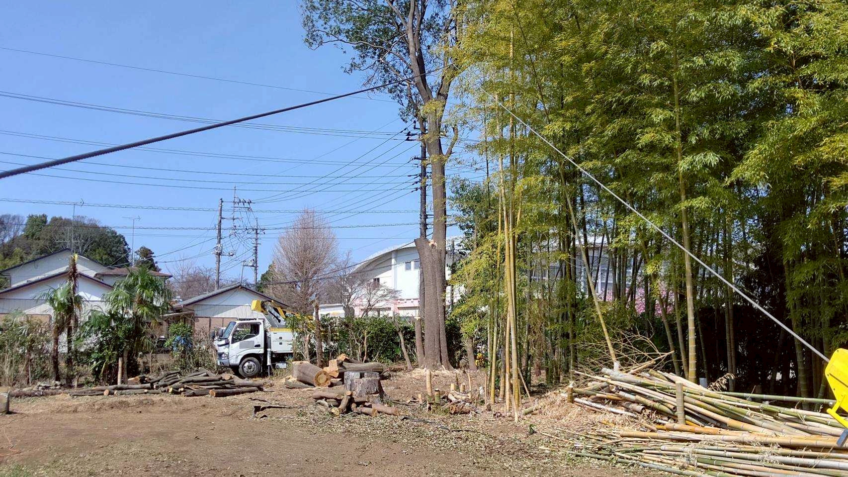 電線・住宅近接でも安全対応！特殊伐採で危険木を撤去【静岡県東部】 - Before