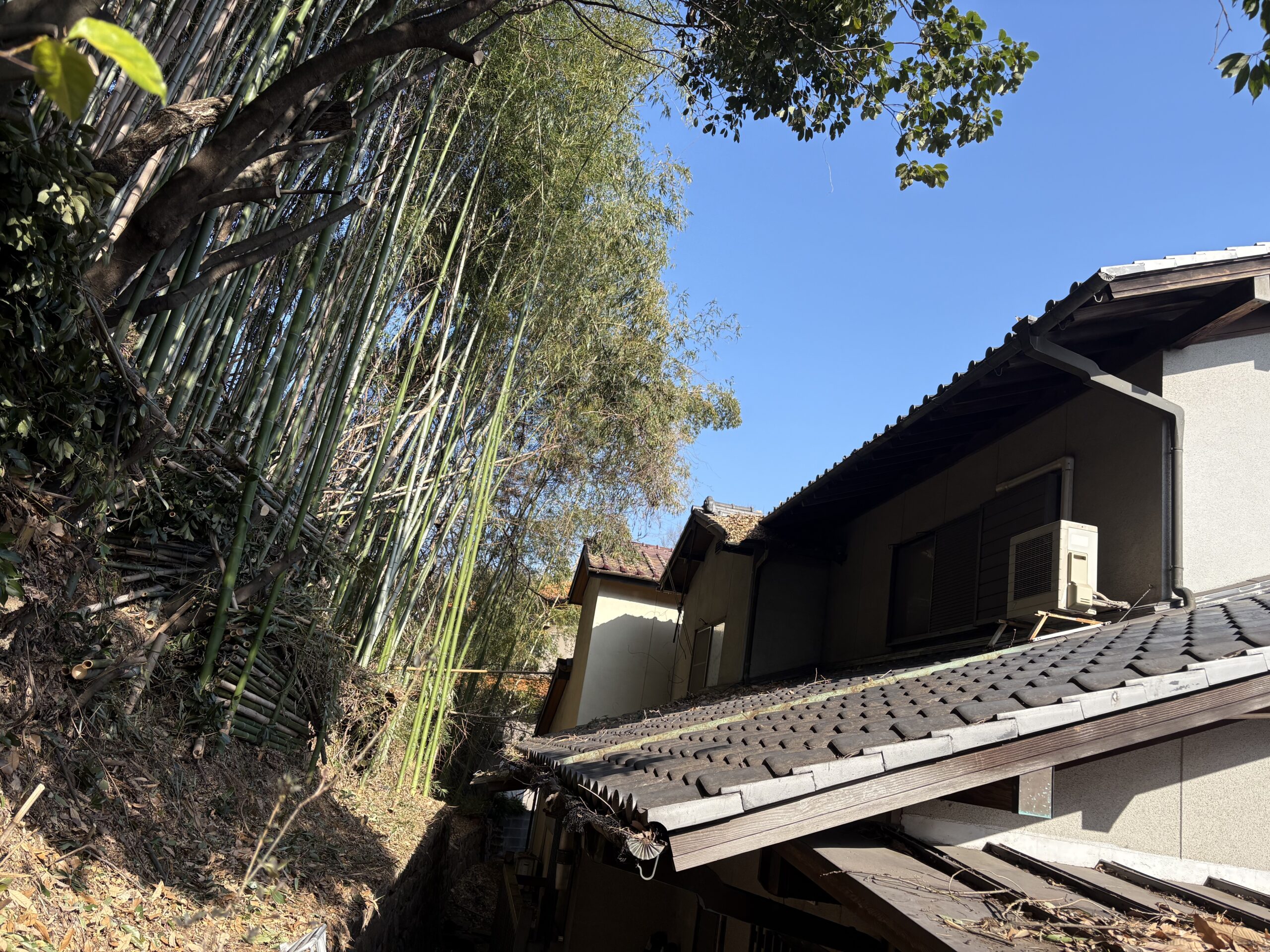 沼津市で住宅裏の竹林を安全伐採｜屋根被害を防いだ伐採事例 - After