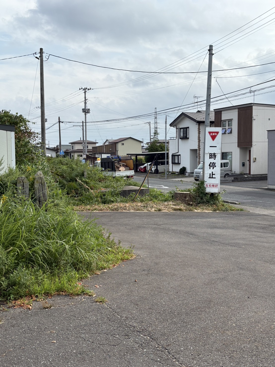 道路沿いの高木伐採・敷地整備を行いました【造園・外構工事】 - After