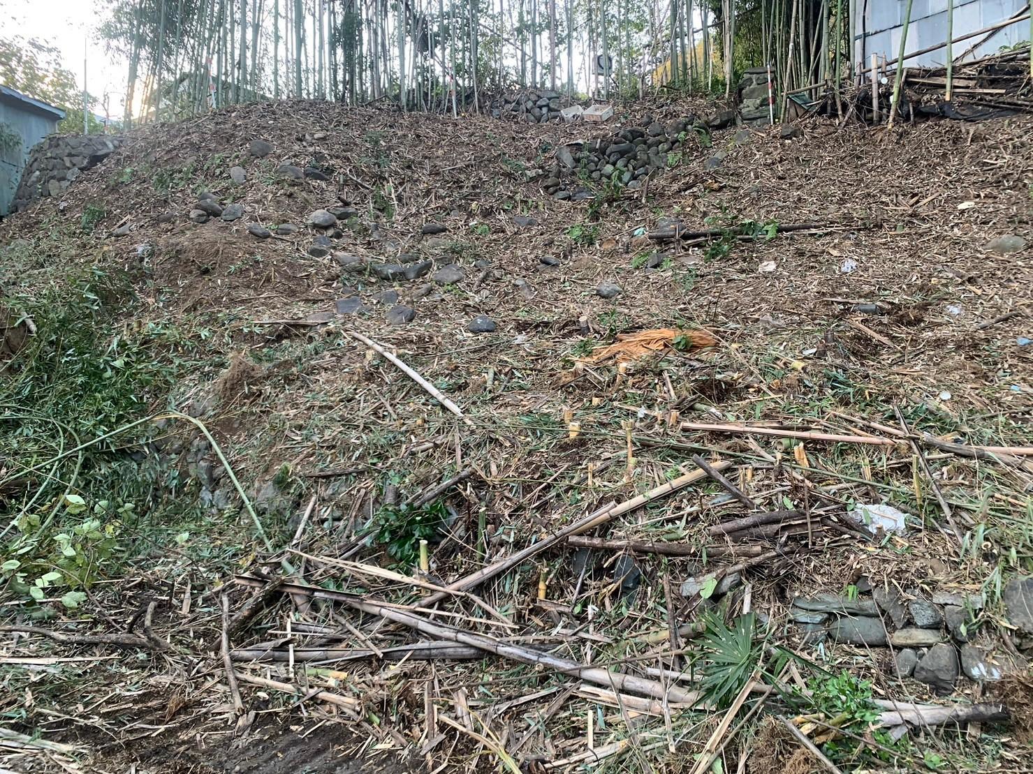 静岡市清水区で竹林整備・特殊伐採を行いました｜山林整備・危険木対応 - After