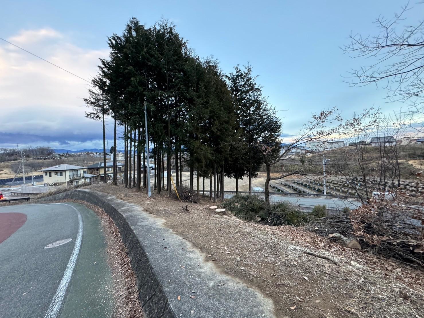 静岡市清水区にて伐採・樹木整理作業を行いました - Before