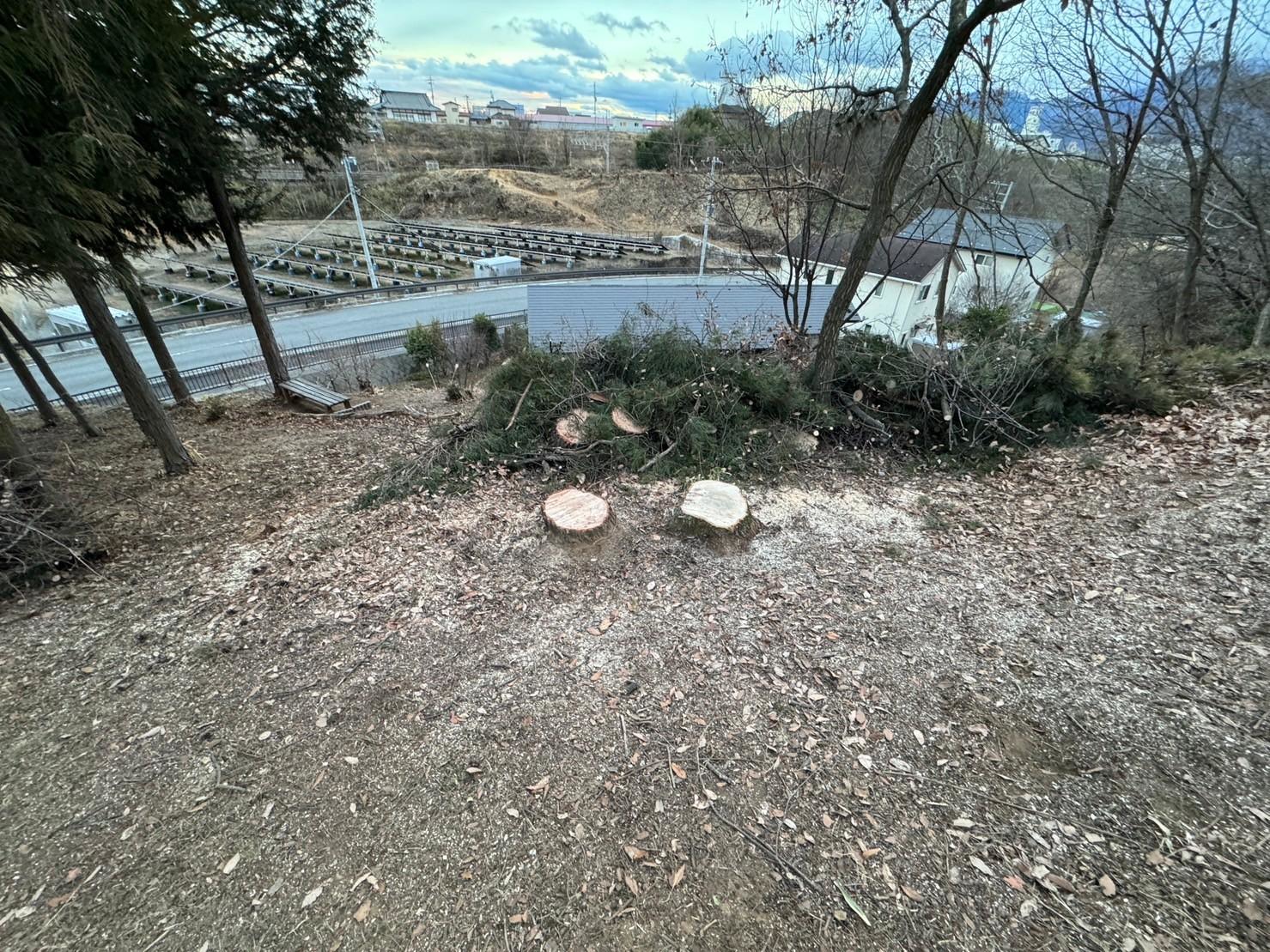 静岡市清水区にて伐採・樹木整理作業を行いました - After