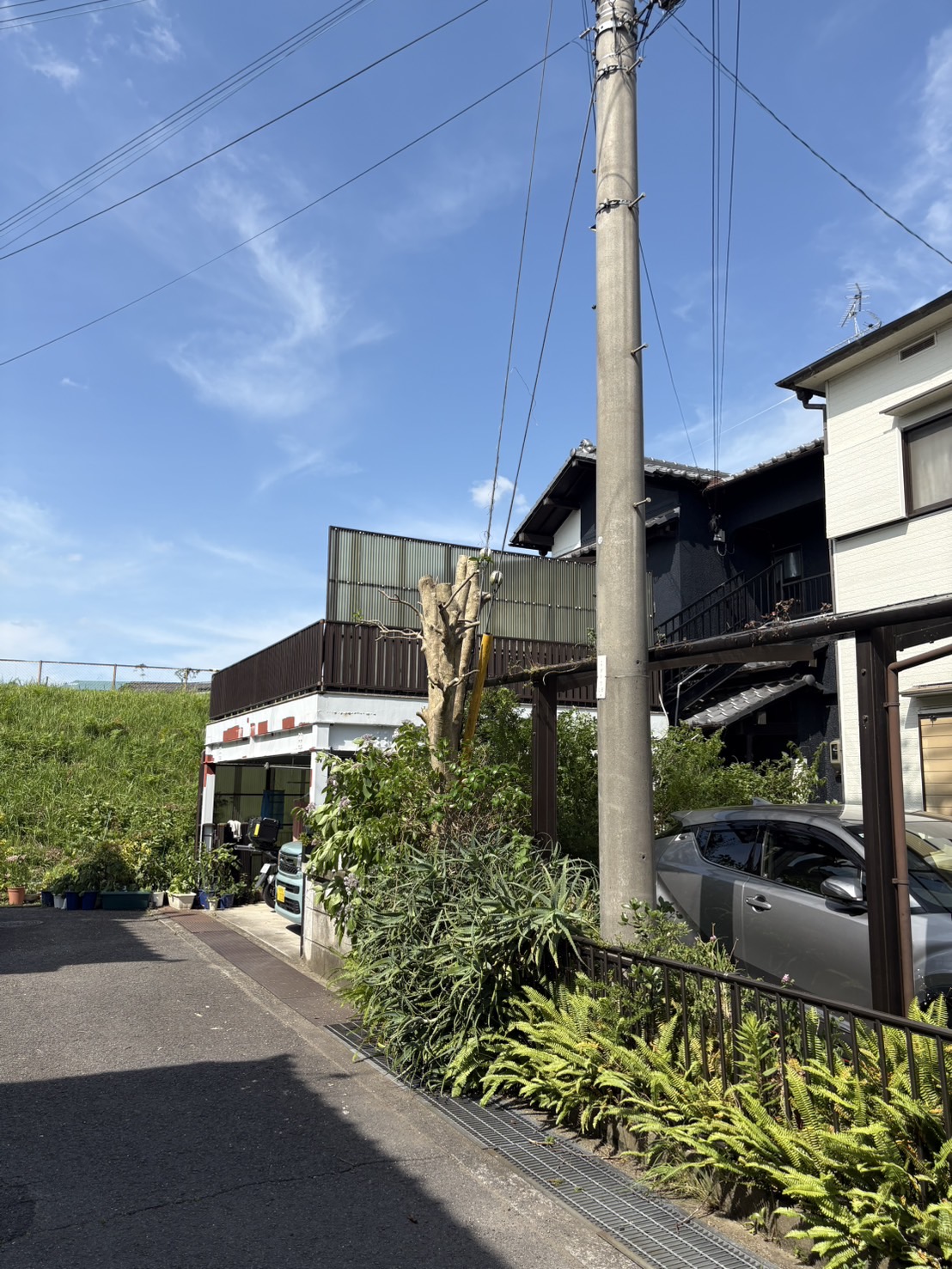 【伊豆エリア】高木伐採・特殊伐採施工事例｜電線付近の危険木を安全に伐採 - After