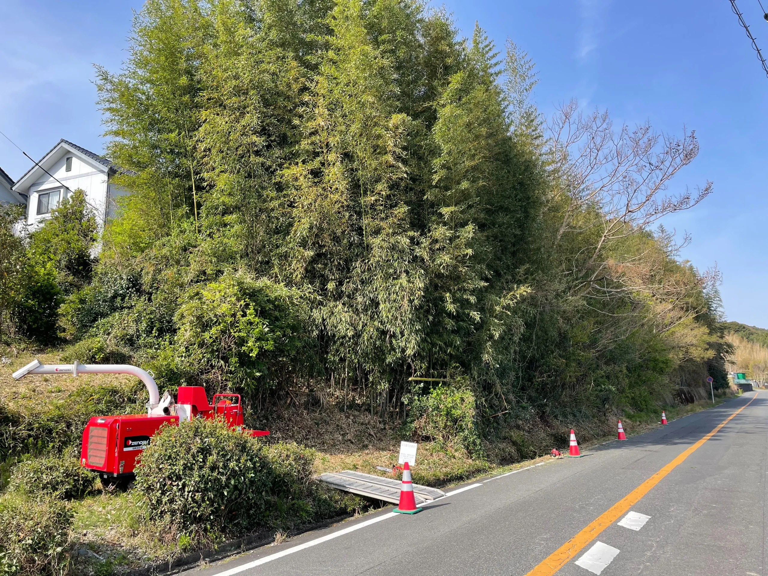 伊豆市で道路に倒れ込む竹林を特殊伐採｜事故を防ぐ唯造園の施工事例 - Before