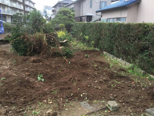 伊豆の国市｜庭木伐採・抜根作業｜ - Before