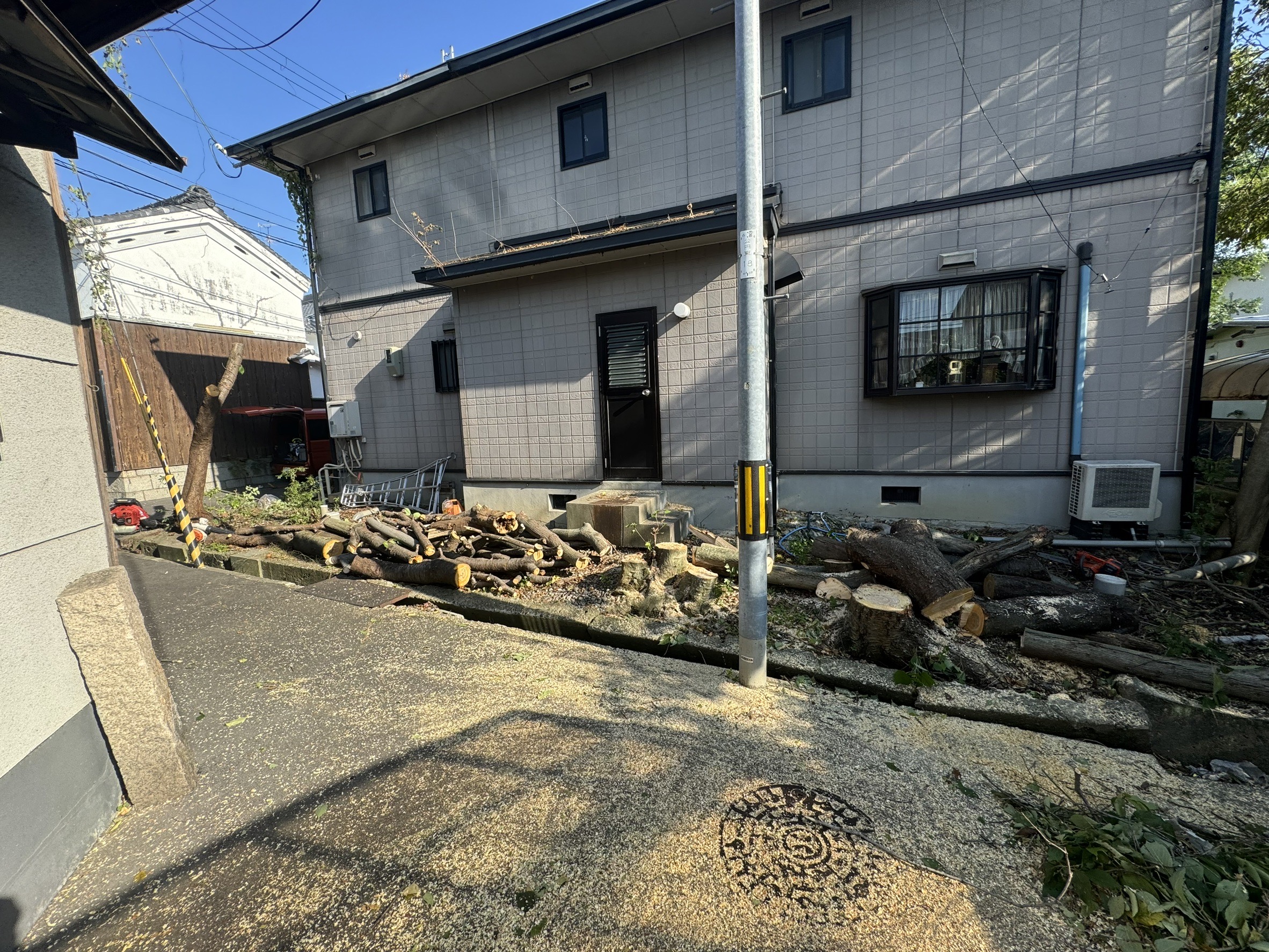 島田市｜電線付近の特殊伐採 - After