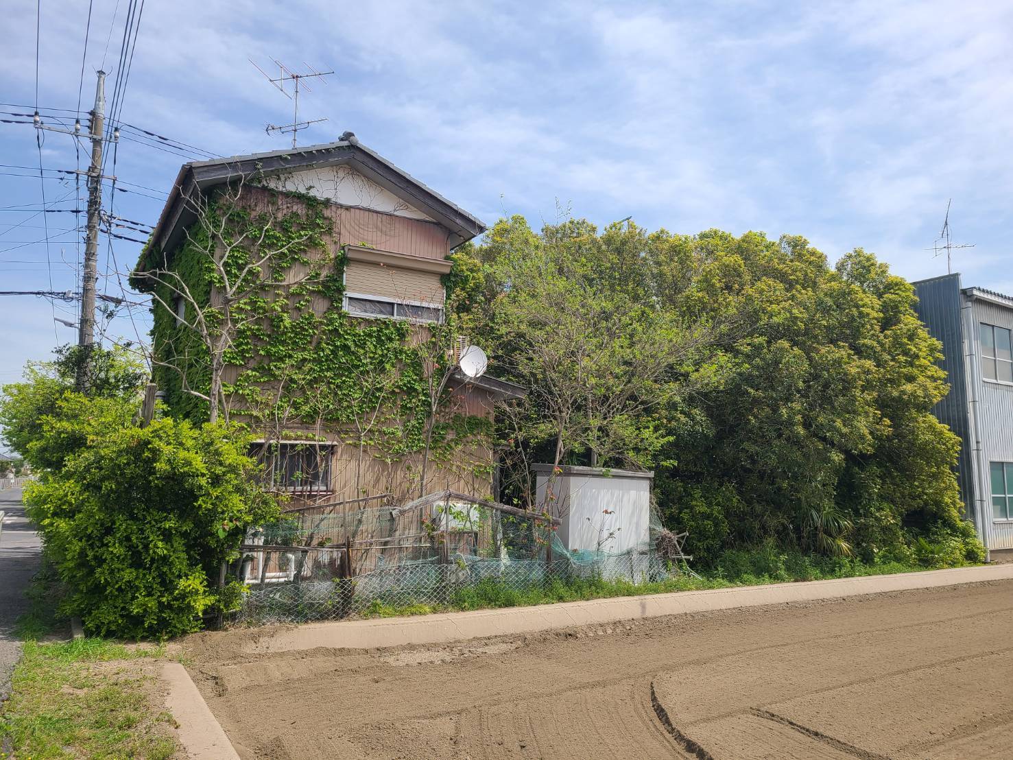 伊豆の国市｜特殊伐採・高木伐採施工事例 - Before