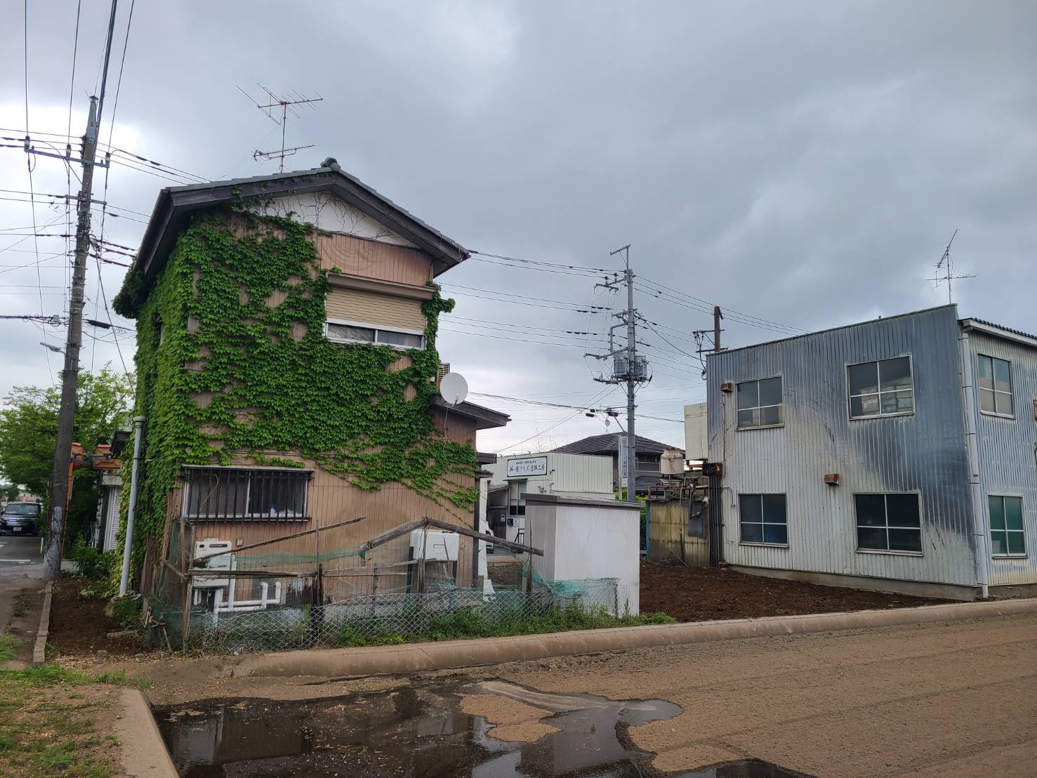 伊豆の国市｜特殊伐採・高木伐採施工事例 - After