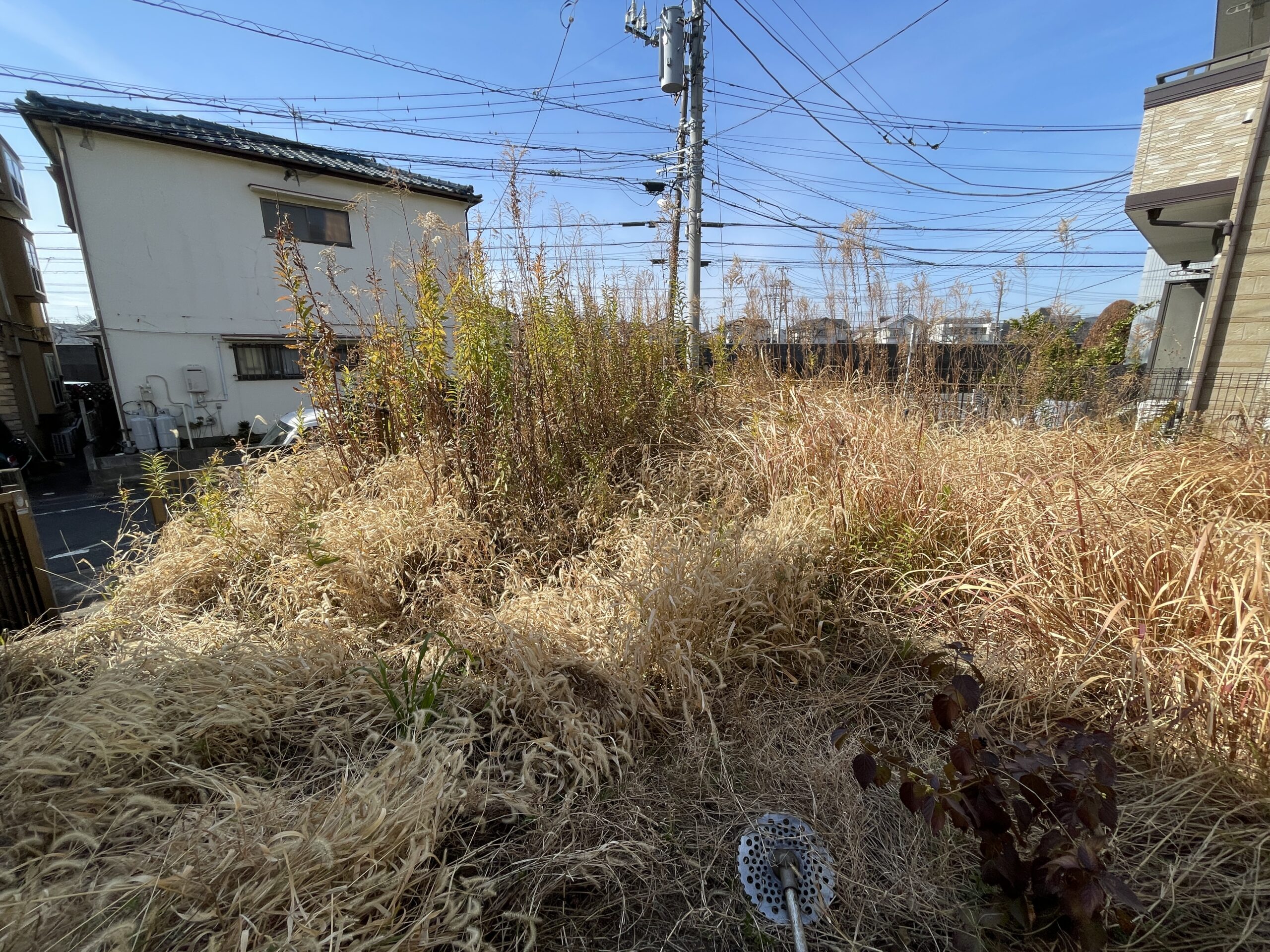 草刈り・雑草除去工事 - Before