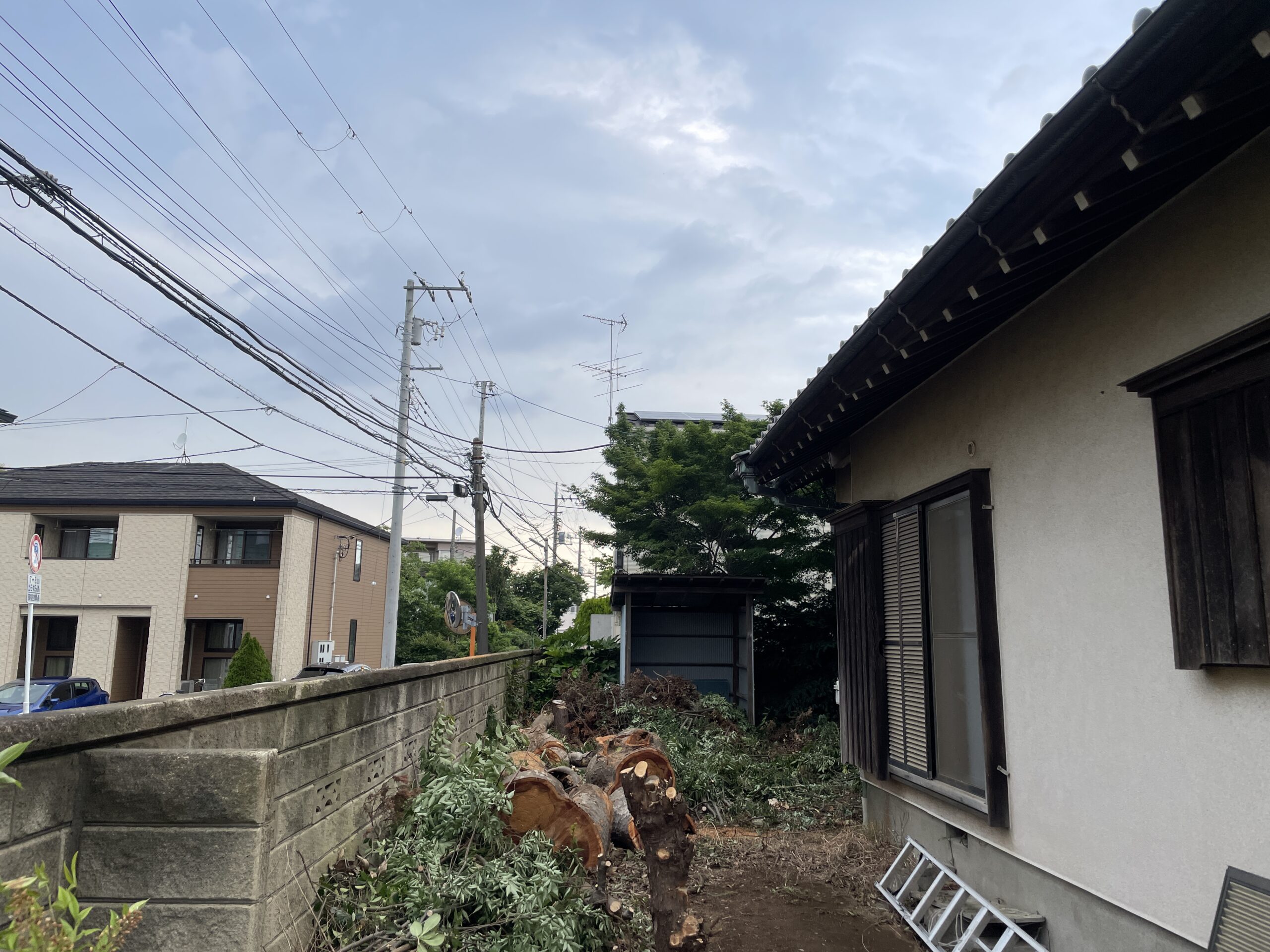 大木の特殊伐採で安全な住環境へ - After